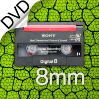 8mm Hi8 비디오테이프, Digital8 테입 → DVD변환, CD변환 등 디지맥스 방송장비 보정변환