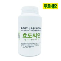 푸르네오 산소관리용 효도씨앗 잔디씨앗 잔디씨 조선 토종 들