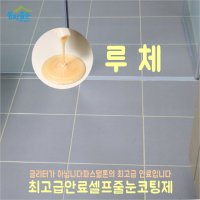 줄눈 셀프시공 바닥 벽면 변기 욕조테두리 타일메지보수 파스텔톤의 최고급 안료