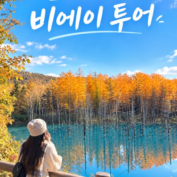 삿포로 비에이 후라노 버스투어 DSLR 사진 촬영 /[준페이 예약 식사]