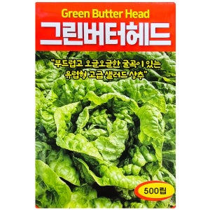 영농사 유럽상추 버터헤드 500립 아삭이 로메인 쌈채소 상추씨앗