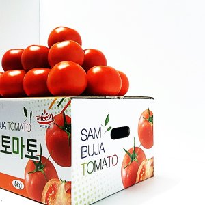 토마토10kg 최저가 가성비상품