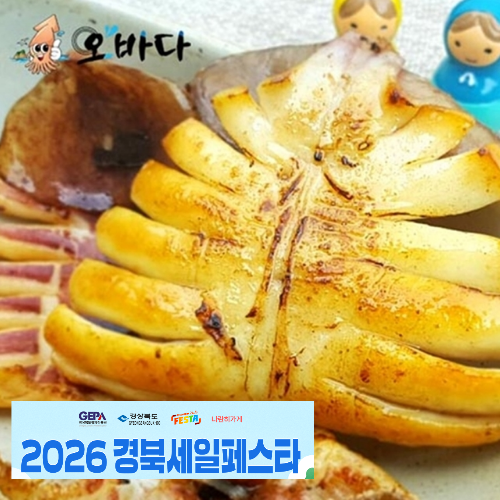 오바다 동해 반건조오징어 마른 건조 건오징어 피데기 5마리 10마리 피대기 파지 파품 오징어입