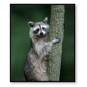 [캔버스아트] 나랑 친구할래