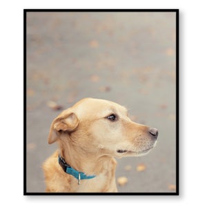 [캔버스아트] 곁에 있어줘