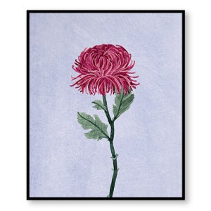 [캔버스아트] 거미국화