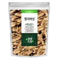 영지버섯 500g 중국산