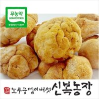 건조노루궁뎅이버섯100g