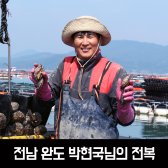 완도전복 거래 활전복 1kg 전복선물세트 보길도전복