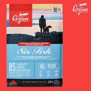 [소분팩] 오리젠 6피쉬독 11.4kg