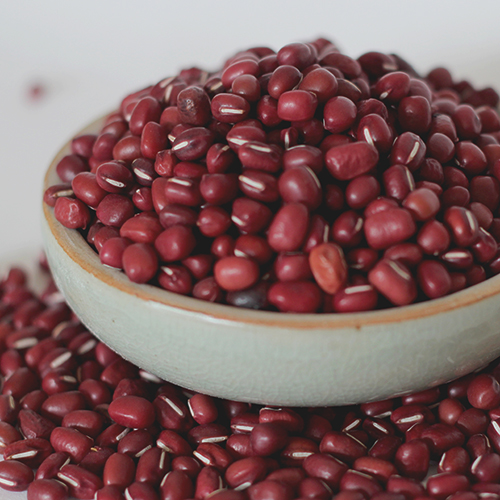 24년산 팥 국산팥 적두 붉은팥 손선별 최상품질 500g