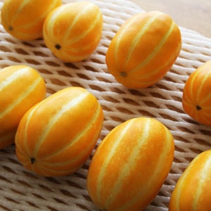 깎지말고 깨물어 먹는, 제 본성대로 키운 깊은 맛 유기농 참외 10k