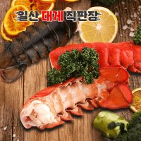 캐나다 랍스터테일 1마리(120-140g) 랍스타테일 꼬리 캠핑 구이용 바닷가재