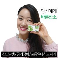 바른산소 산소발생기 차량용