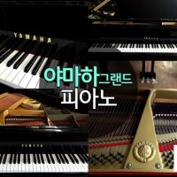 야마하 그랜드 피아노 / C5 Conservatory / 야마하 그랜드 / 야마하 그랜드 피아노 C5 Conservatory / 야마하 C5 / 야마하 피아노 / 그랜드 피아노