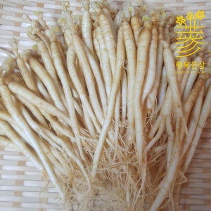 금산 인삼 수삼 삼계탕용 작은 실삼계A 세척 500g
