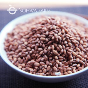국산 볶은 찰현미차 500g 현미차