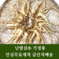 금산 수삼 인삼 난발삼小 잔뿌리 무료 세척 4년근 5년근 6년근 파삼 홍삼용 쥬스용 씻은 인삼 행복한삼