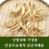 금산 수삼 인삼 난발삼中 잔뿌리 무료 세척 4년근 5년근 6년근 파삼 홍삼용 쥬스용 씻은 인삼 행복한삼