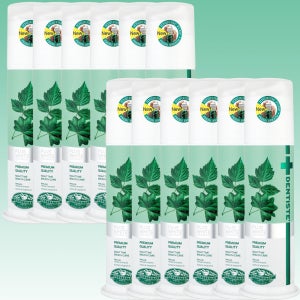 덴티스테 플러스화이트 치약 펌프 170g 12개