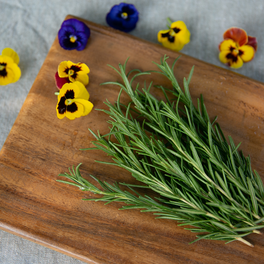 <b>로즈마리</b> 생잎 <b>로즈마리</b>잎 허브 잇츠허브 농장직송