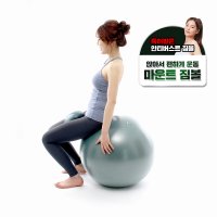 특허받은 안전 마운트짐볼 안현모 짐볼의자 밸런스짐볼 45cm 55cm 65cm