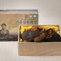 상황버섯(최상품) 500g/300g 류충현상황버섯