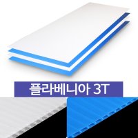 플라베니아 3T (20장묶음) PVC골판지,단프라시트