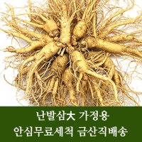 금산 수삼 인삼 난발삼大 잔뿌리 무료 세척 4년근 5년근 6년근 파삼 홍삼용 쥬스용 씻은 인삼 행복한삼