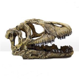 공룡뼈 장식품 U-714 어항장식, 파충류장식 구피 열대어 도먀뱀 놀이터