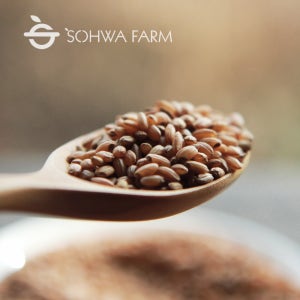 국산 볶은 현미차 500g 현미차