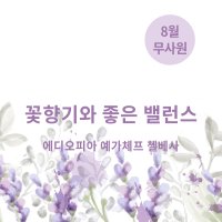 에티오피아 예가체프 첼베사 워시드 200g