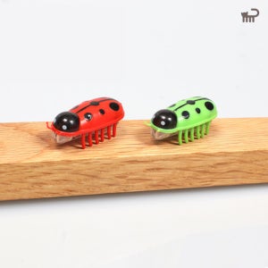 펫모닝 로봇버그 움직이는 고양이 자동 장난감 무당벌레