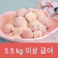 냐무환 5.5 kg 이상 (테라코트환)