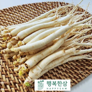 삼계용 금산 수삼 씻은 인삼 전골 삼계탕용 갈비탕용 대삼계 중삼계 소삼계 잔삼계 삼계삼 행복한삼