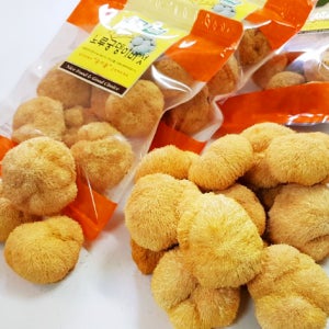 1차버섯으로 직접 만든 건조 노루궁뎅이버섯 300g 파주 삼남매 송이뜰농장