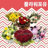 꽃바구니 배달 꽃배달당일배송 전국꽃배달서비스 꽃다발 장미 출산 생일 축하 선물 서울