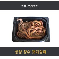 더 오래사는 장수 갯렁이 500g 생물 바다낚시 필수품