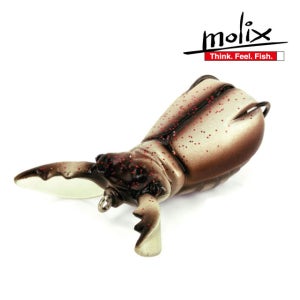 몰릭스 슈퍼나토 비틀 배스 할로우바디 탑워터 플로팅 벌레 루어 미끼 낚시