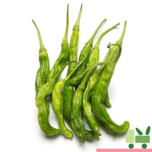 꽈리고추 4Kg (특)