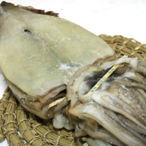 반건조 오징어