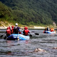 동강 래프팅 어라연코스 + 2시간 무제한 삼겹살 패키지