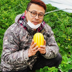 성주 꿀 참외 10kg 당일수확 산지직송 참외 가정용
