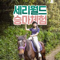 제주 세리월드 승마 / 제주도 중문 승마체험