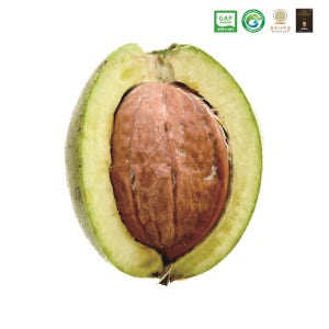 [무료배송]생호두 국산 피호두 500g 호두나무숲 견과류