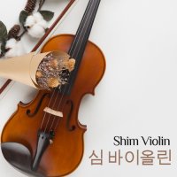 심 바이올린 SV-201 입문용 교육용 연습용 바이올린
