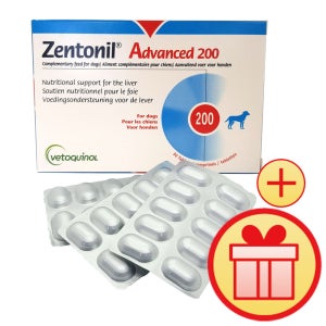 젠토닐 어드밴스 200 강아지 고양이간영양제