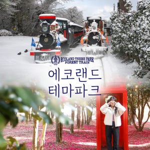 제주 에코랜드 테마파크 / 꽃 관광지 포토존