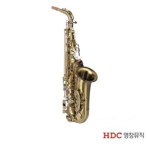 영창 YAS490N-V YOUNG CHANG YAS490NV 알토 색소폰