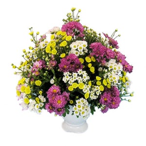 꽃바구니 축하 기념일 소국화병(OW-6116)꽃배달